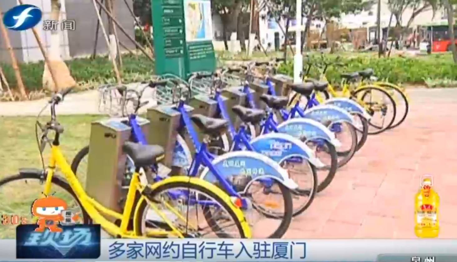 网约车绕圈厦门最新消息,网约车进军市场