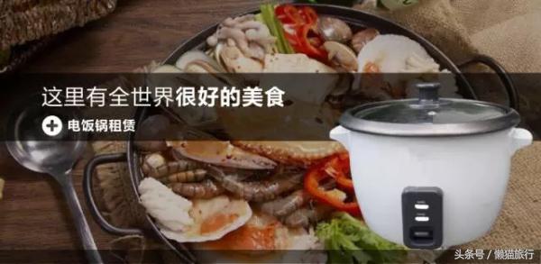 新西兰旅游驾车攻略图大全,新西兰开车自驾游注意事项