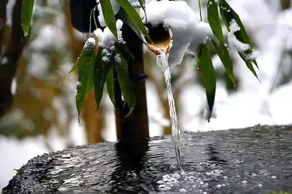 任尔东西南北风全诗隶书作品,任尔东西南北风上一句是啥