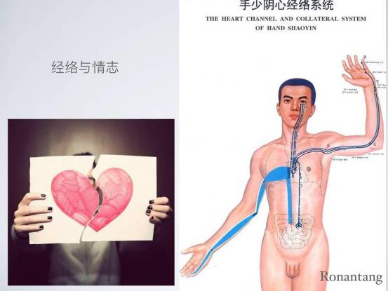 瑜伽经络十二法,唐一杰经络瑜伽