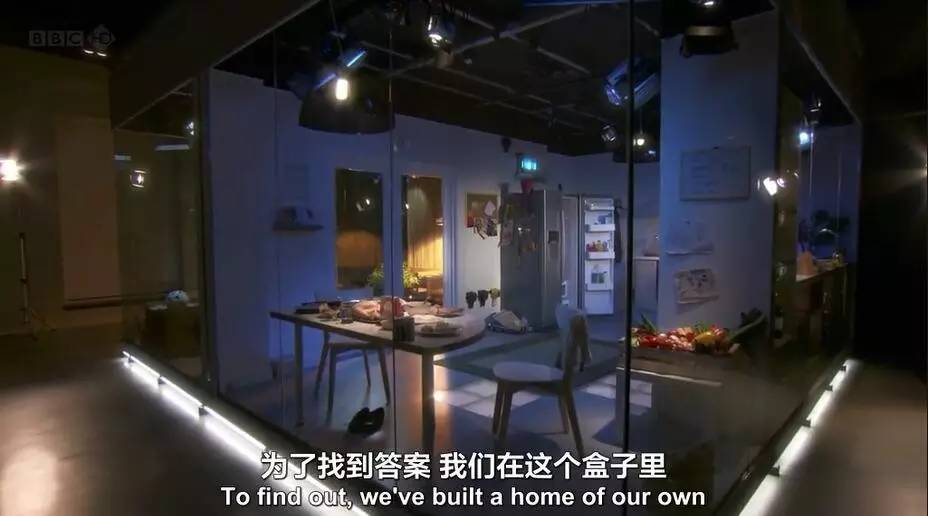 只有BBC才拍得出这么腐的片