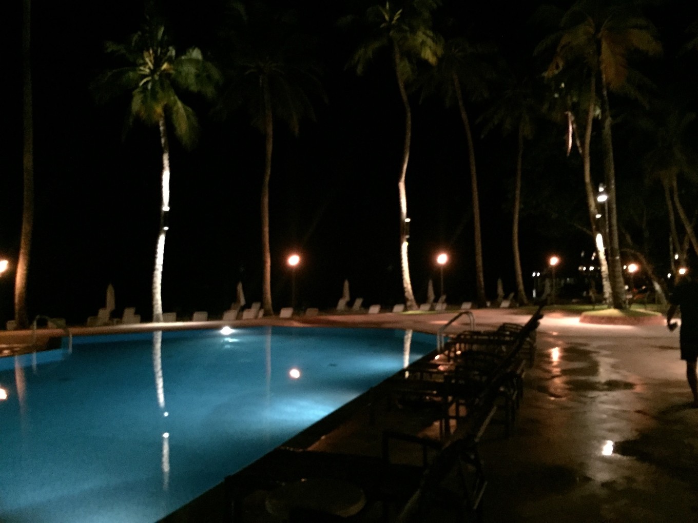 帕劳旅行攻略大全图文,帕劳旅行攻略图文大全