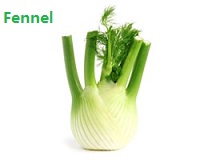 苹果的英文不是apple,苹果的英文发音是apple还是apple