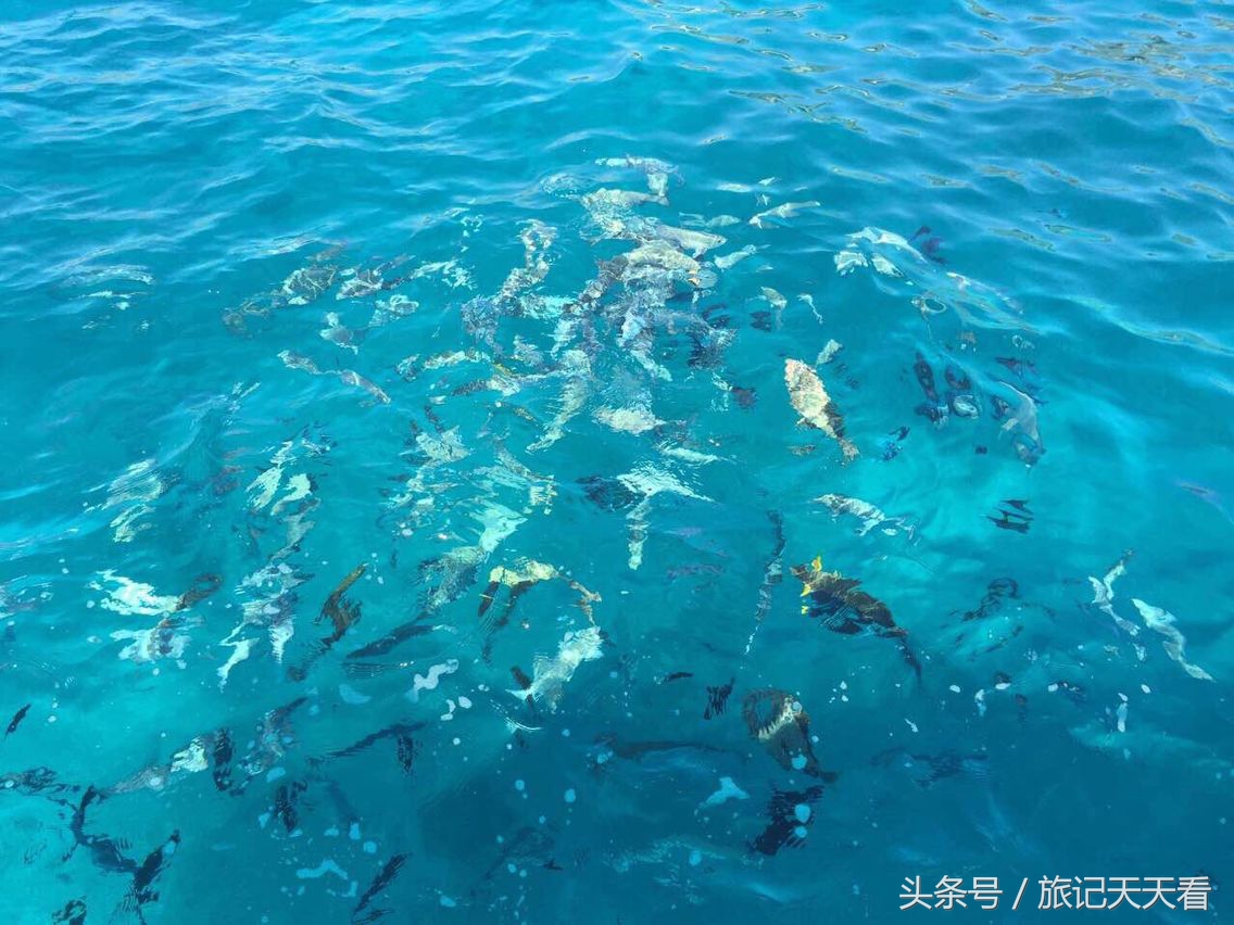 泰国普吉岛旅游攻略带酒,泰国普吉岛旅游能买什么