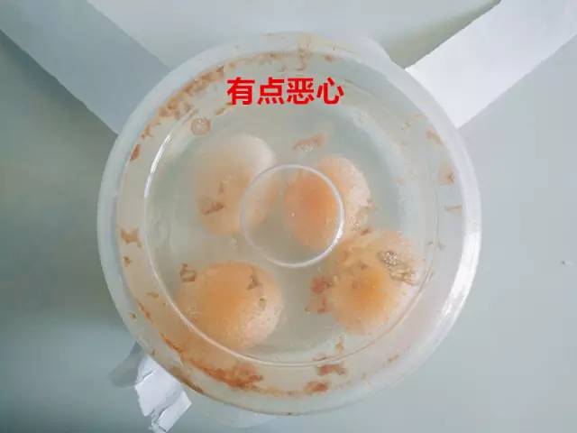 鸡蛋遇到什么会变成弹力球,用白醋泡鸡蛋变成弹力球