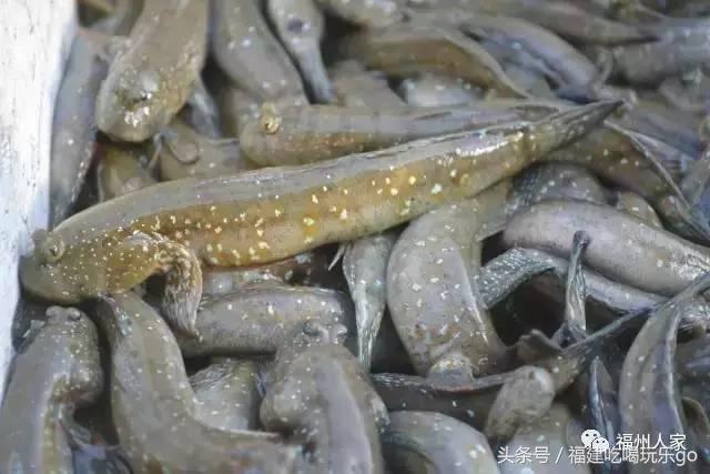 福建十大公认最好吃的菜,福建海鲜美食排行榜前十名