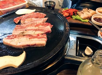 济州岛游记记录,济州岛的春天旅行日记