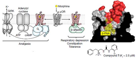 雨里：小分子药物发现的新技术和新思维