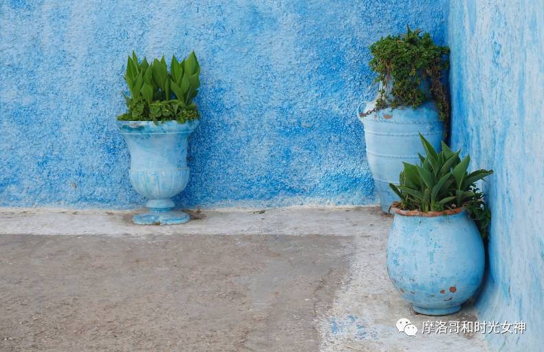 中国游客真的不爱逛博物馆吗？丨摩洛哥艺术时光漫步