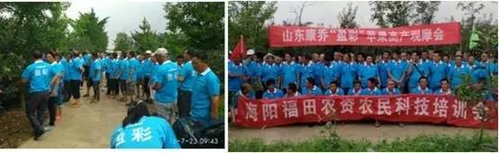 今日优品品牌零食,今日优品个体店