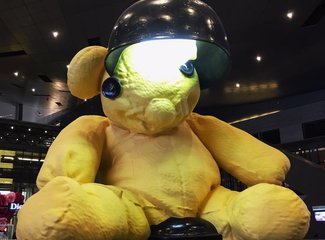 法兰西板鸭,板鸭西班牙语