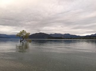 新西兰房车15天攻略,房车旅行记新西兰