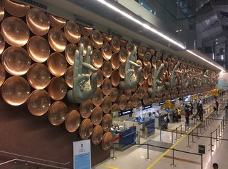 为什么我非得去印度？来啊！放肆吧！去大闹天竺啊！