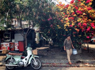 5月去泰国涛岛,几月去泰国旅游苏梅岛