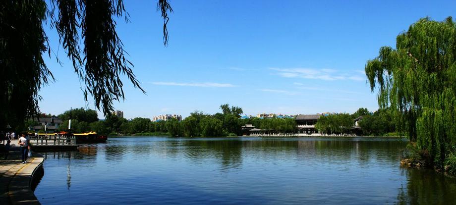 刘凤敏讲课,刘凤敏最新视频