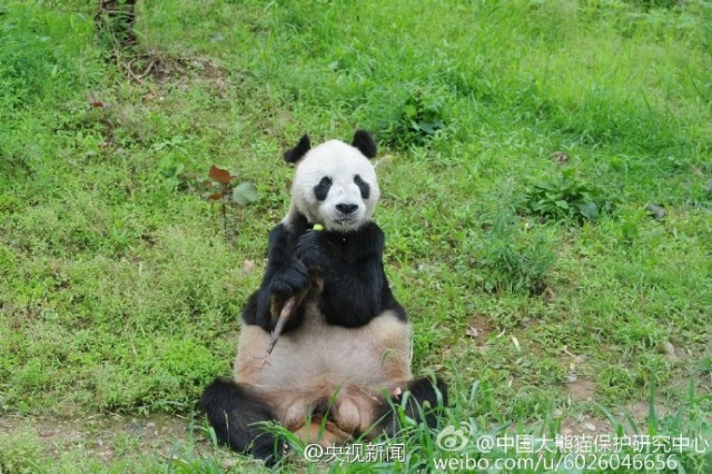 退休大病保险每月5元能报吗,退休人员大病保险每年扣多少钱