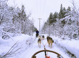 北欧雪中漫步芬兰,北欧四国游丹麦瑞典挪威芬兰