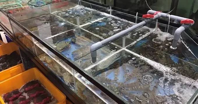 越南芽庄之旅说说,芽庄旅游攻略五日游价格