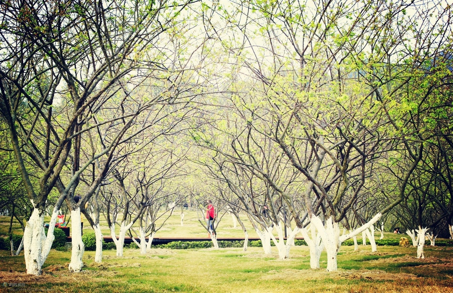 广州地铁全线著名景点总攻略,广州地铁景点线路图