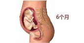 孕10周胎儿发育正常流褐色分泌物,第10周胎儿发育图片