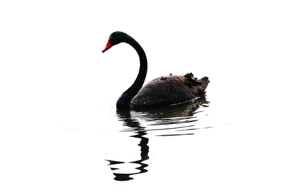 减掉20斤的人,减掉20斤颜值变化