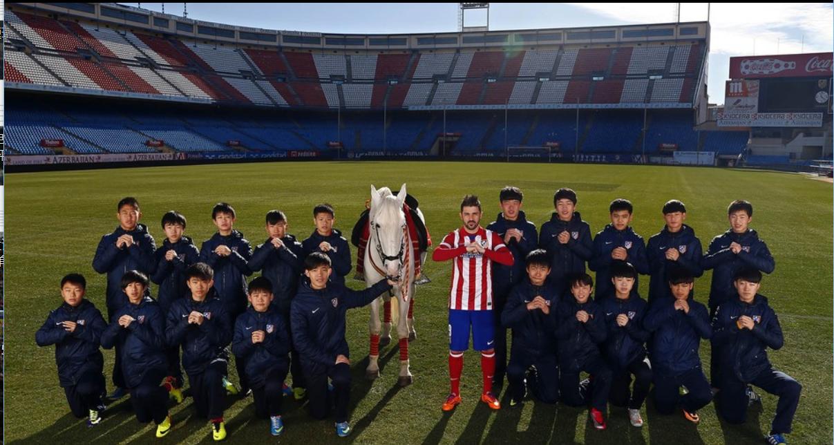 王健林欧洲杯,王健林对中国足球的贡献