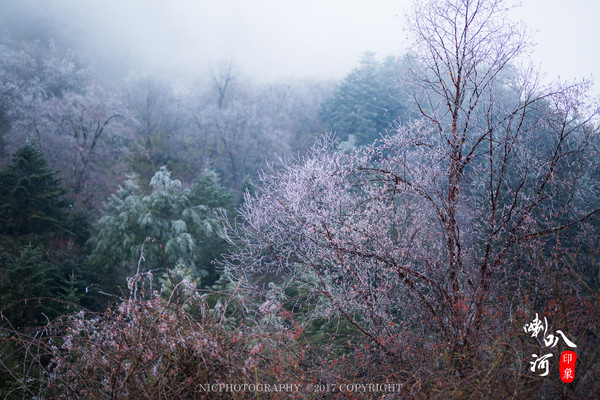 「成都躲霾攻略」喇叭河的圣诞奇缘