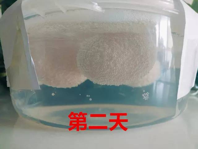 鸡蛋遇到什么会变成弹力球,用白醋泡鸡蛋变成弹力球