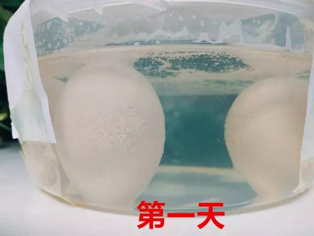鸡蛋遇到什么会变成弹力球,用白醋泡鸡蛋变成弹力球