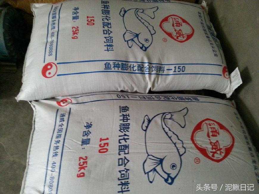 泥鳅养殖技术与养殖方法图解大全,泥鳅养殖技巧与方法