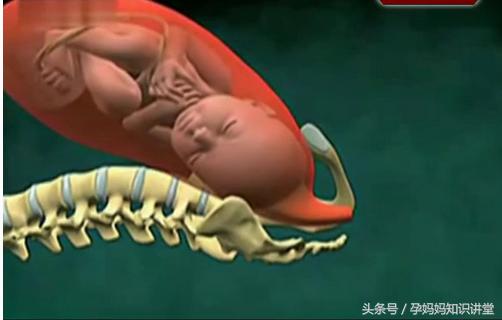 产妇自然分娩有几个产程,分娩第一天产妇注意什么