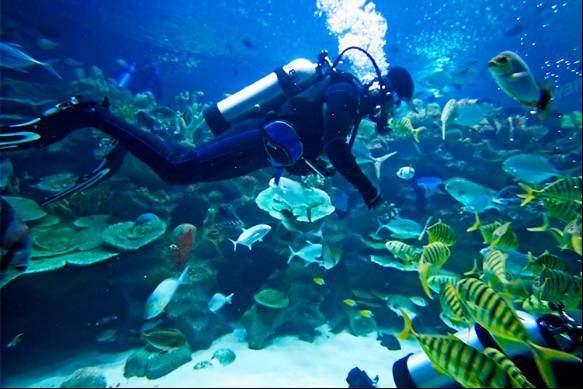 大家以前是不是都拍过这样的照片,每个人都见过的照片