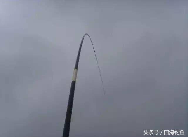 鱼竿的保养方法图解,碳素鱼竿保养方法