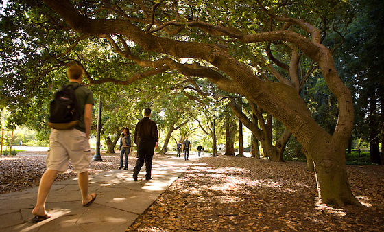 最新美国读研申请攻略,申请美国top30研究生录取率