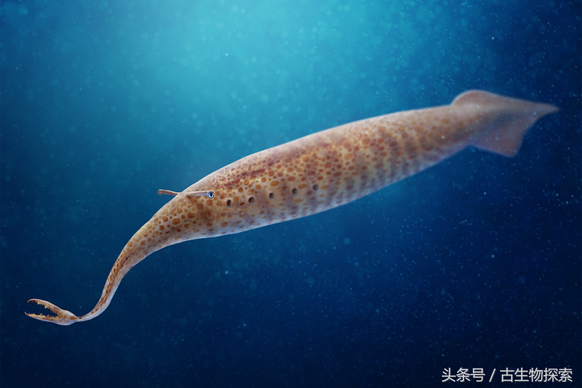 2021年神兽大全,1-8世代神兽盘点