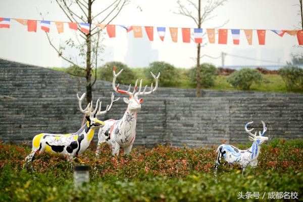 高新最好的小学有哪些,高新区小学最好的是哪个学校
