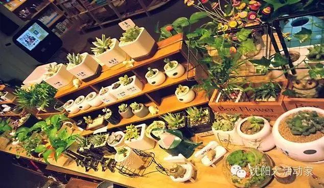 沈阳最大图书最全的书店,沈阳最文艺范的书店