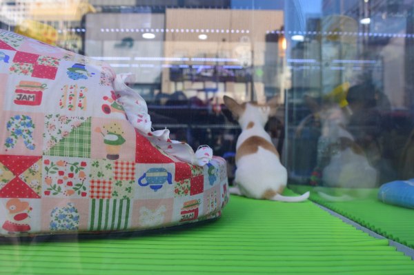 日韩邮轮日游,釜山福冈邮轮旅游攻略