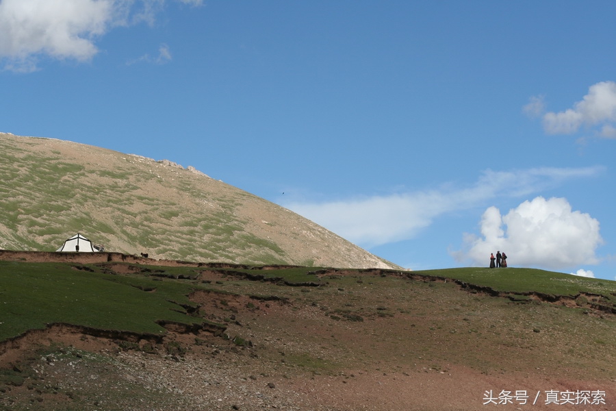 荒野求生秘籍完整版,荒野自救教程