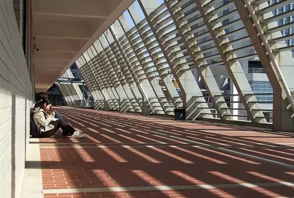 厦大入选全球12所最美大学！像花园一样的大学厦门原来这么多