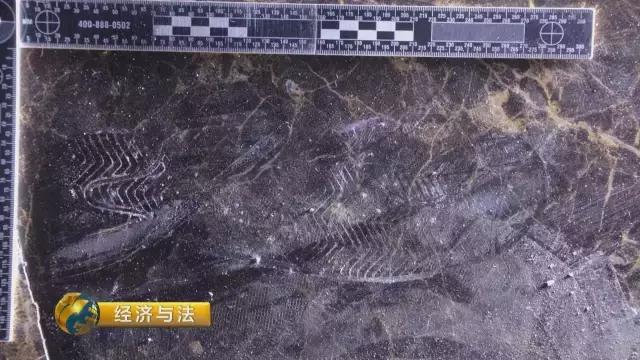 钻石成袋卖，还是白菜价！低价背后究竟是何陷阱？