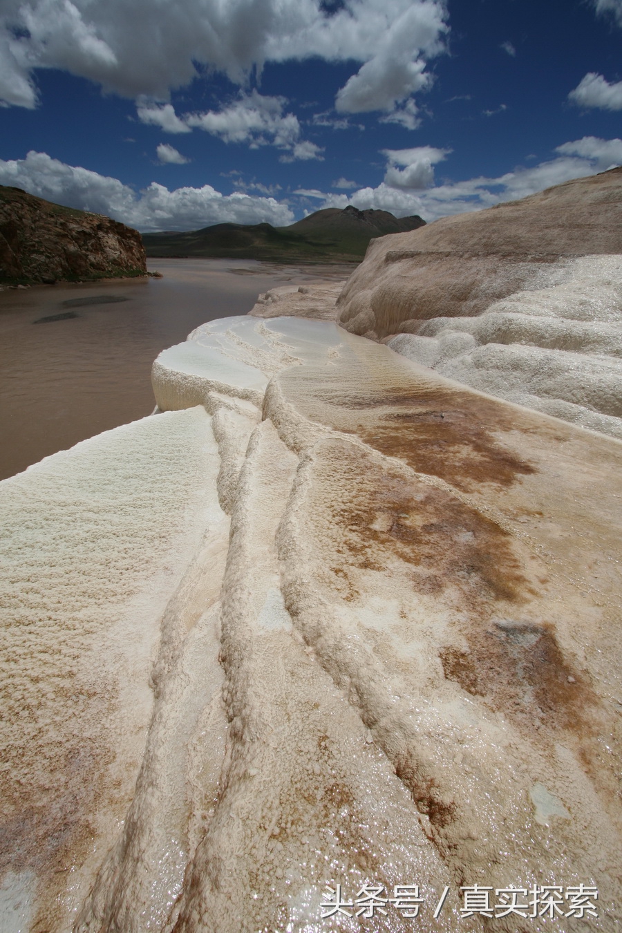 荒野求生秘籍完整版,荒野自救教程