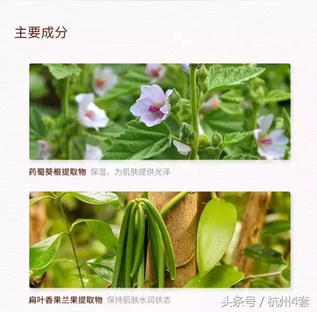 热量低的巧克力派,吃不胖的巧克力派推荐