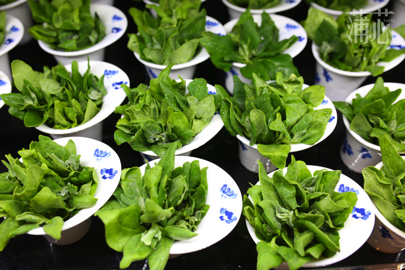 适合周末吃的海鲜自助餐,一次吃个够的海鲜自助餐