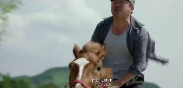 2015年最火的影视,2015年的网络电影有哪些