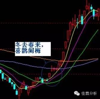 短线追涨技巧图,天天看图视角