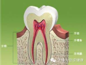 这么多年过去了才明白歌词,为什么嘴角开裂一直好不了