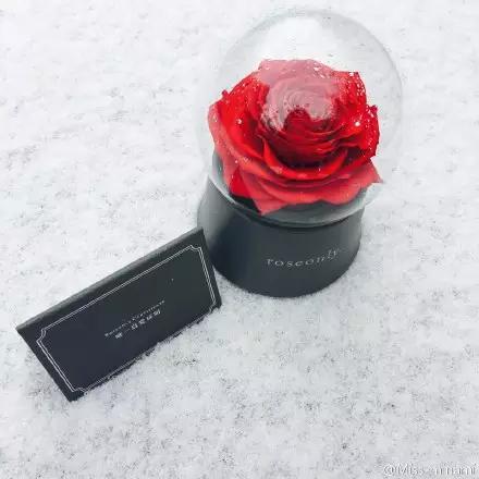 她们的情人节，虐狗指数绝对不逊于昆凌