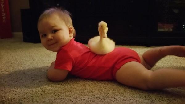 男宝宝小游戏玩具,男宝宝小游戏