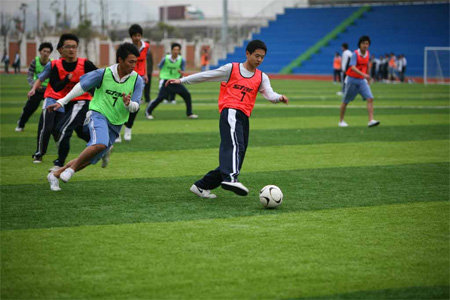 足球疯狂球迷视频,足球狂热球迷进场